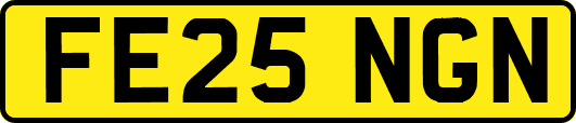 FE25NGN