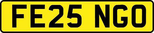 FE25NGO