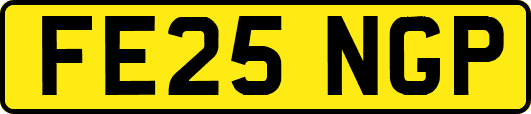 FE25NGP