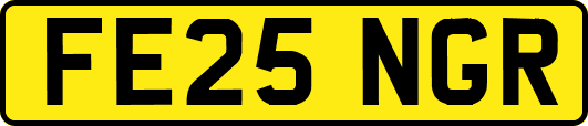 FE25NGR