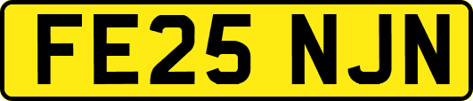 FE25NJN
