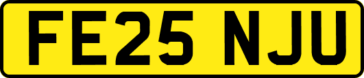 FE25NJU