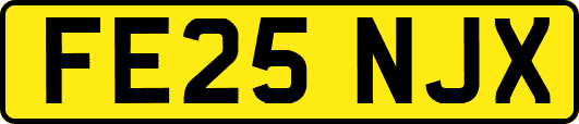FE25NJX