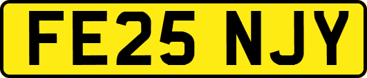 FE25NJY
