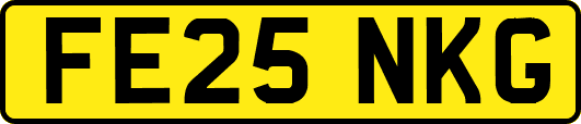 FE25NKG