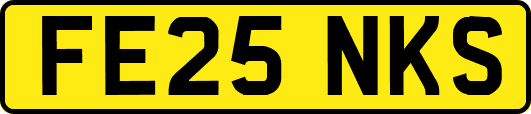 FE25NKS
