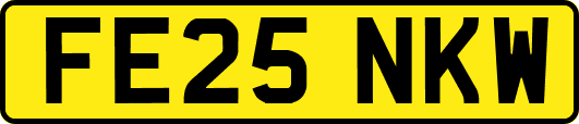 FE25NKW