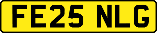 FE25NLG