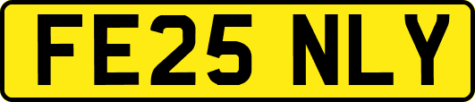 FE25NLY