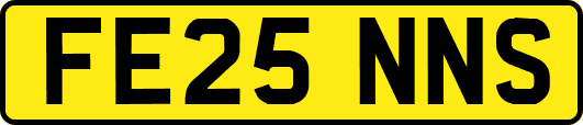 FE25NNS