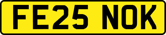 FE25NOK