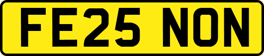FE25NON
