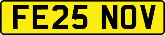 FE25NOV