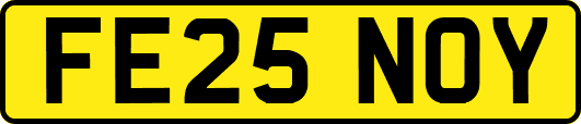 FE25NOY