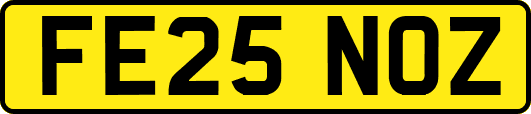 FE25NOZ