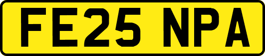 FE25NPA