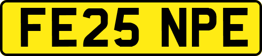 FE25NPE