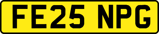 FE25NPG