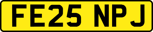 FE25NPJ