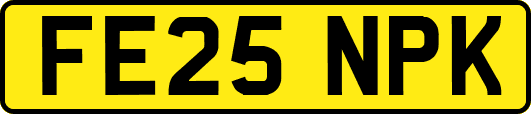 FE25NPK