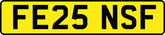 FE25NSF