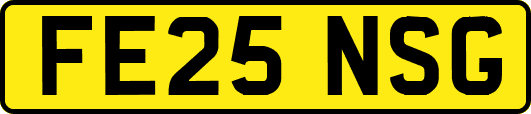 FE25NSG