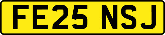 FE25NSJ