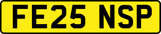 FE25NSP