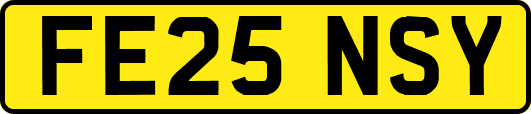 FE25NSY