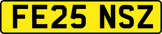 FE25NSZ
