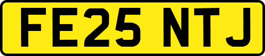 FE25NTJ