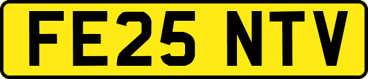 FE25NTV