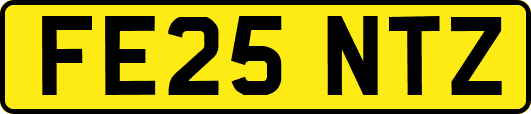 FE25NTZ