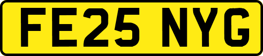 FE25NYG