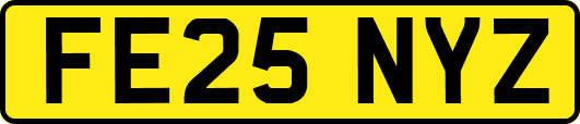 FE25NYZ