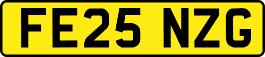 FE25NZG
