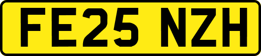 FE25NZH