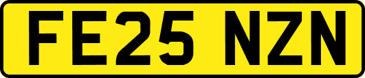 FE25NZN