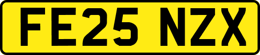 FE25NZX