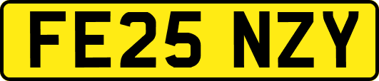 FE25NZY