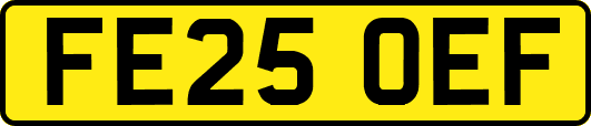 FE25OEF