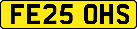 FE25OHS
