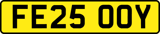 FE25OOY