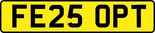 FE25OPT