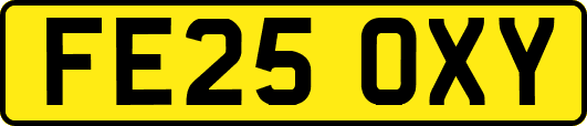 FE25OXY