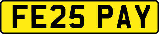 FE25PAY