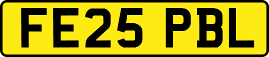 FE25PBL