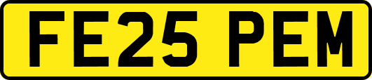 FE25PEM