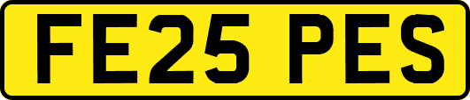 FE25PES