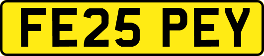 FE25PEY